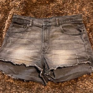 Express Shortie High Rise Shorts